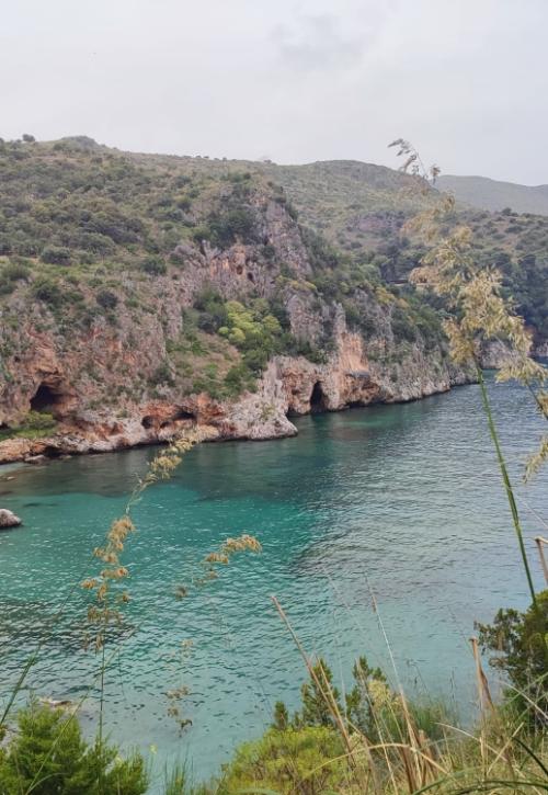 Baia con acque cristalline e scogliere verdi, immersa nella natura selvaggia.